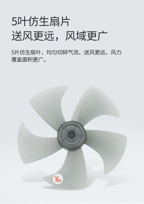 打造清凉舒适家居 T.C.L 大风量遥控落地扇全方位解析