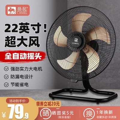 夏日清凉新宠 探究当下网购热门风扇产品趋势与选购指南